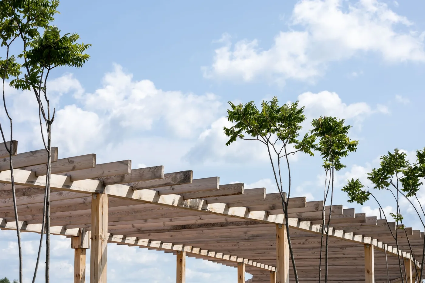 dřevěná pergola stavěná pod modrou oblohou