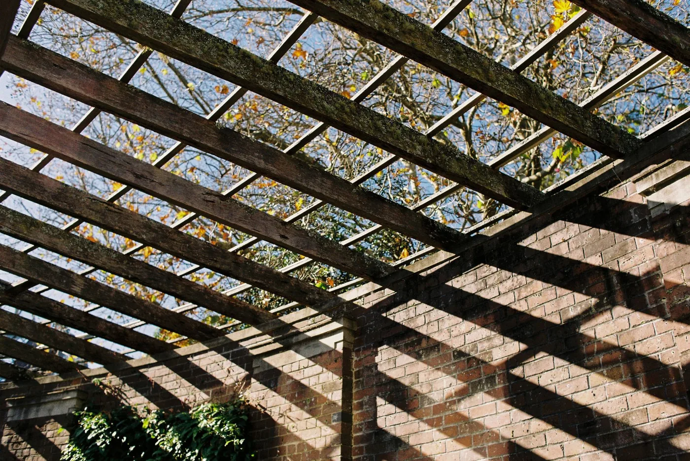 Dřevěná pergola vrhá stín na cihlovou zeď