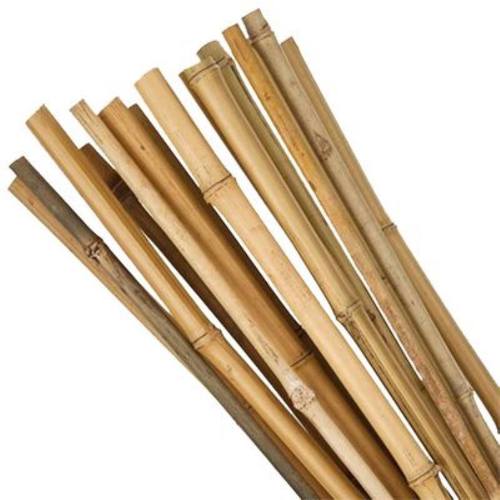 Tyč bamboo